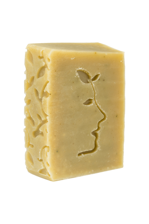 Shampooing Jojoba